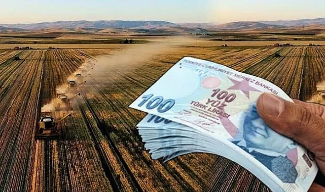 Destekleme bekleyenler dikkat! Ödemelerle ilgili açıklama geldi