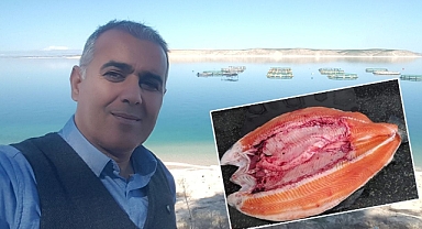 Şanlıurfa’da balıkçılık sektörü her geçen gün gelişiyor!