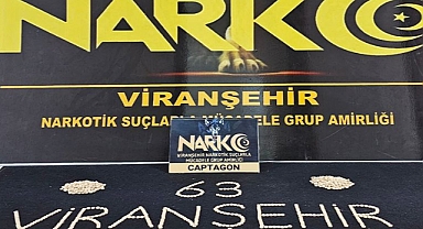 Urfa'nın ilçesinde operasyon! Yüzlerce adet ele geçirildi!