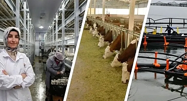 Hibe takvimi açıklandı!