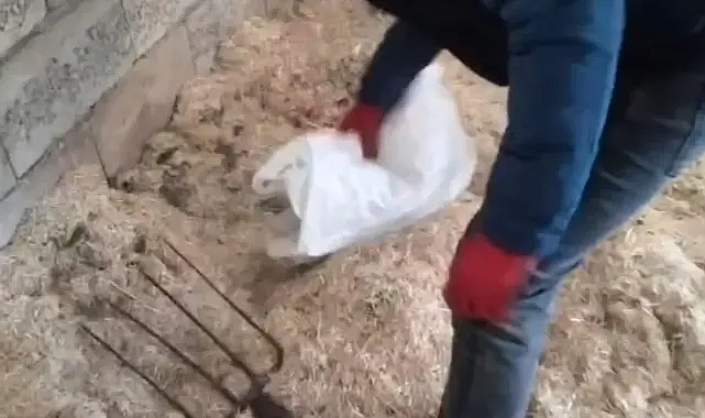 Şanlıurfa'da yüklü miktarda ele geçirildi!