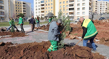 Seyrantepe'de 21 bin metrekare üzerinde yeşil alan çalışmaları sürüyor