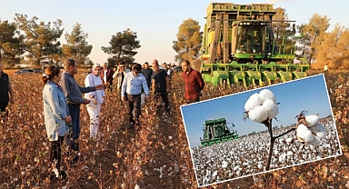 Vali Şıldak: Şanlıurfa, pamuk üretiminde Türkiye’de ilk sırada!