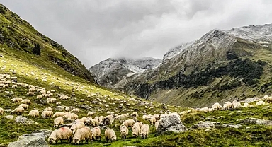 4 milyar 435 milyon ödeme yapılacak!