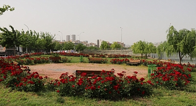 Büyükşehir'de park ve bahçeler yaza hazır hale getiriliyor