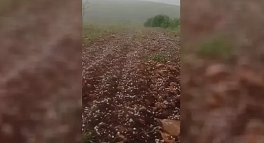 Şanlıurfa’da dolu etkili oldu!
