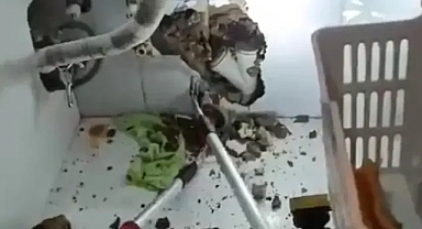 Şanlıurfa'da evin mutfağından çıktı! Ekipler harekete geçti!