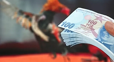 Şanlıurfa’da horoz dövüştürenlere ceza yağdı!