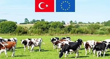 Son dakika hibe açıklaması!