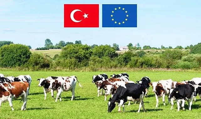 Son dakika hibe açıklaması!
