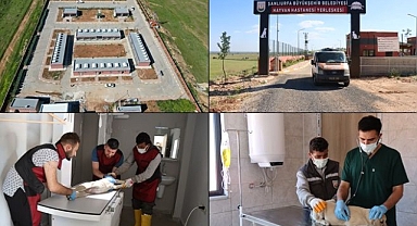 Tam Teşekküllü Hayvan Hastanesi Ve Rehabilitasyon Merkezi Hizmete Başladı