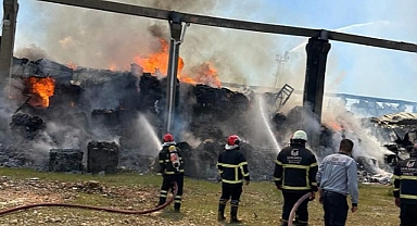Urfa'da 12 araç 30 personelle yangına müdahale edildi!