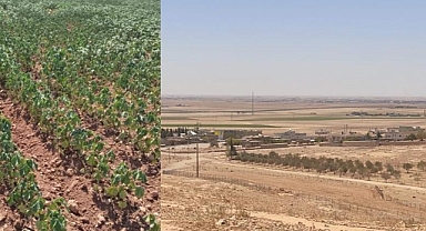 Başkan Karadağ: Çiftçiler Mağdur Evler Büyük Zarar Gördü!