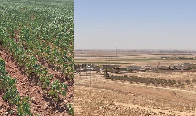 Başkan Karadağ: Çiftçiler Mağdur Evler Büyük Zarar Gördü!