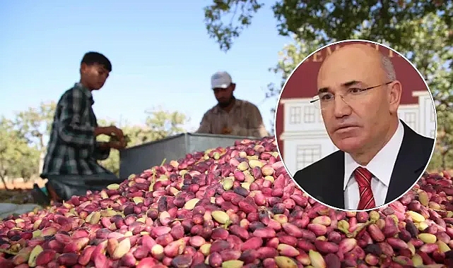Çaya destek geldi! Tanal: Şanlıurfa fıstığına destekleme veriliyor mu?