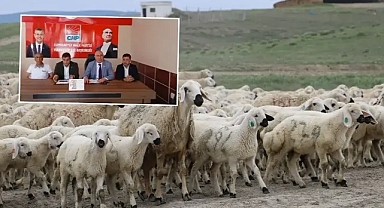 Ceylanpınar’da çobanlar ‘yabancı’ çobanlarla tehdit edildi iddiası!