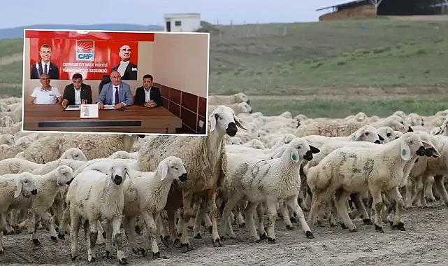 Ceylanpınar’da çobanlar ‘yabancı’ çobanlarla tehdit edildi iddiası!