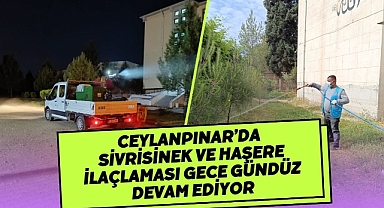 Ceylanpınar’da Sivrisinek Ve Haşere İlaçlaması Gece Gündüz Devam Ediyor