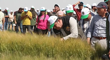 Ceylanpınar TİGEM dikkat çekiyor!