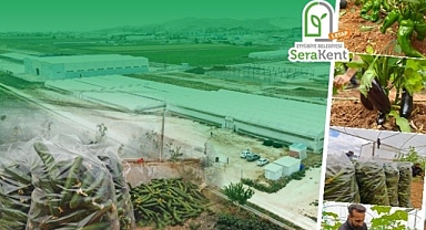 Eyyübiye Sera Kent’te Yeni Sezon Hasat Başladı