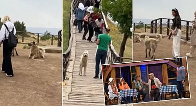 Göbeklitepe’nin ismi ‘Köpeklitepe’ oldu!