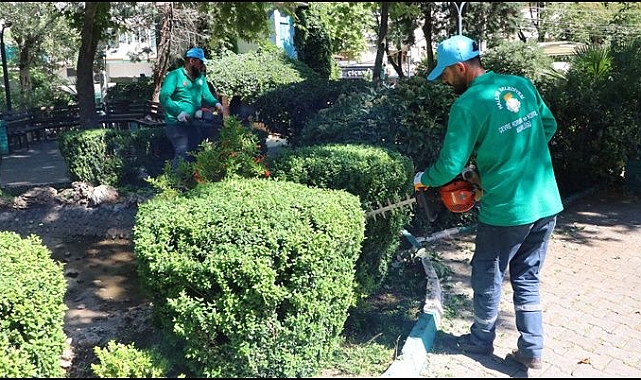 Haliliye Belediyesi Peyzaj Çalişmasi Ile Parklari Güzelleştiriyor