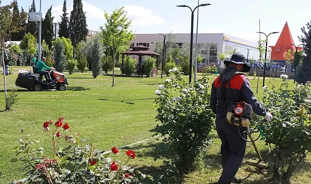 Haliliye’de ağaçlandırma çalışmaları devam ediyor