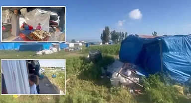 Irgatlık devam ediyor! Tanal, Urfalı tarım işçilerinin acı hallerini paylaştı!