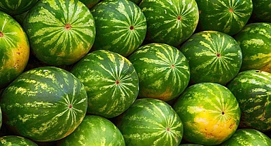 Karaköprü'de karpuz sergileri için yeni düzenleme!