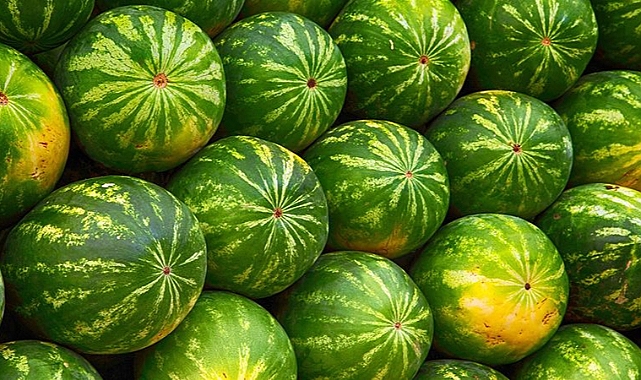 Karaköprü'de karpuz sergileri için yeni düzenleme!