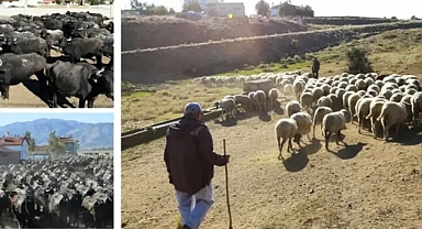 Merakla beklenen ödemede yeni gelişme!