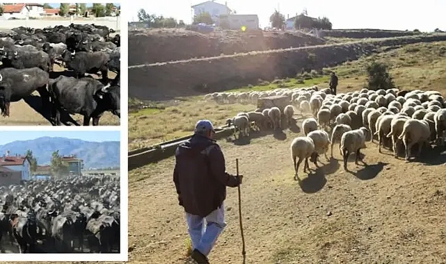 Merakla beklenen ödemede yeni gelişme!