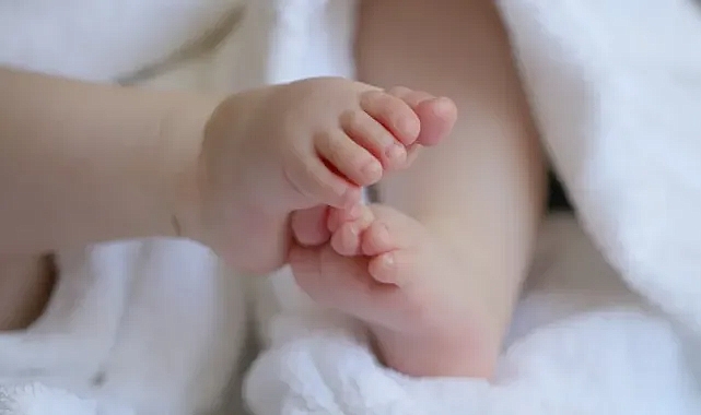 Şanlıurfa'nın ilçesinde vicdanları sızlatan olay! Sokağa bıraktılar