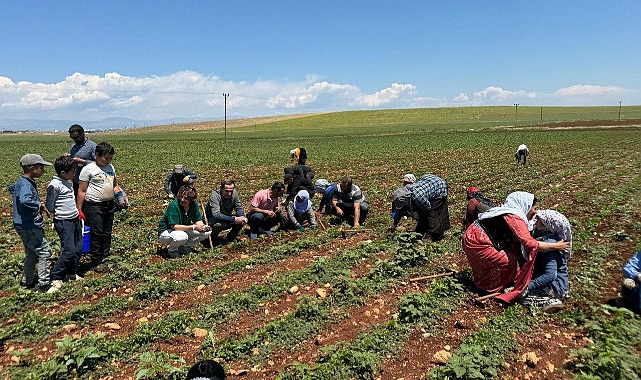 Seçim Çalışmaları 3 Koldan Sürüyor: Hilvan Bizim