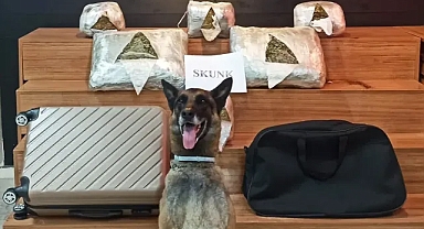 Urfa’da skunk operasyonu! Bir kişi yakalandı