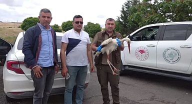 Urfa'da yaralı halde bulundu