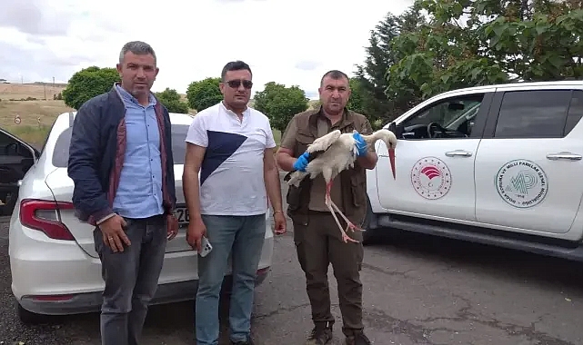Urfa'da yaralı halde bulundu