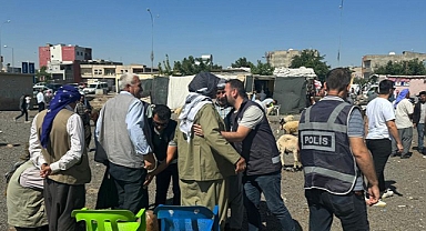 Urfa'daki hayvan pazarında uygulama! 377 şahıs sorgulandı!