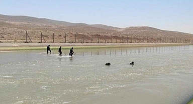 Urfa'daki sulama kanalında ceset bulundu!