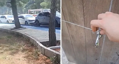 Urfa’nın tek ormanlık alanı! Su yok, lavabo yok!