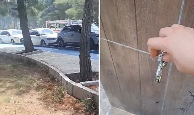 Urfa’nın tek ormanlık alanı! Su yok, lavabo yok!