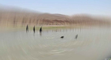 Urfalı tarım işçisi ailenin çocuğu feci şekilde can verdi!