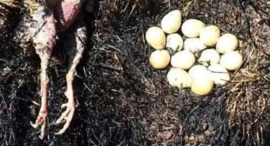 Urfalılara uyarı geldi: Yapmayın!