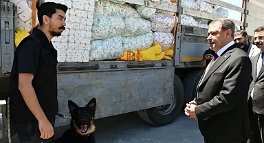 Vali Şıldak, Akçakale Gümrük Kapısı’nda incelemelerde bulundu!