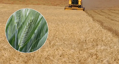 Vali Şıldak bereket diledi! Şanlıurfa ülkedeki üretimin yüzde 5’ini karşılıyor!