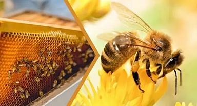 Yeni destekler geliyor! Bakan Yumaklı tek tek açıkladı