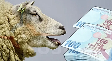 2024 yılı kurbanlık fiyatları ne kadar?