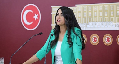 Dilan Kunt Ayan`:Şanlıurfa'da Uzun Süren Elektrik Kesintileri Halkı Mağdur Ediyor