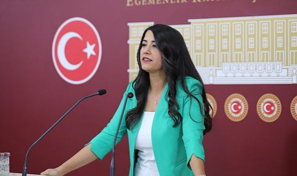 Dilan Kunt Ayan`:Şanlıurfa'da Uzun Süren Elektrik Kesintileri Halkı Mağdur Ediyor