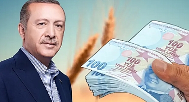 Fiyat hayal kırıklığı yarattı: Erdoğan’a mektup yazacaklar!